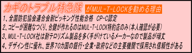 MUL-T-LOCK̗_